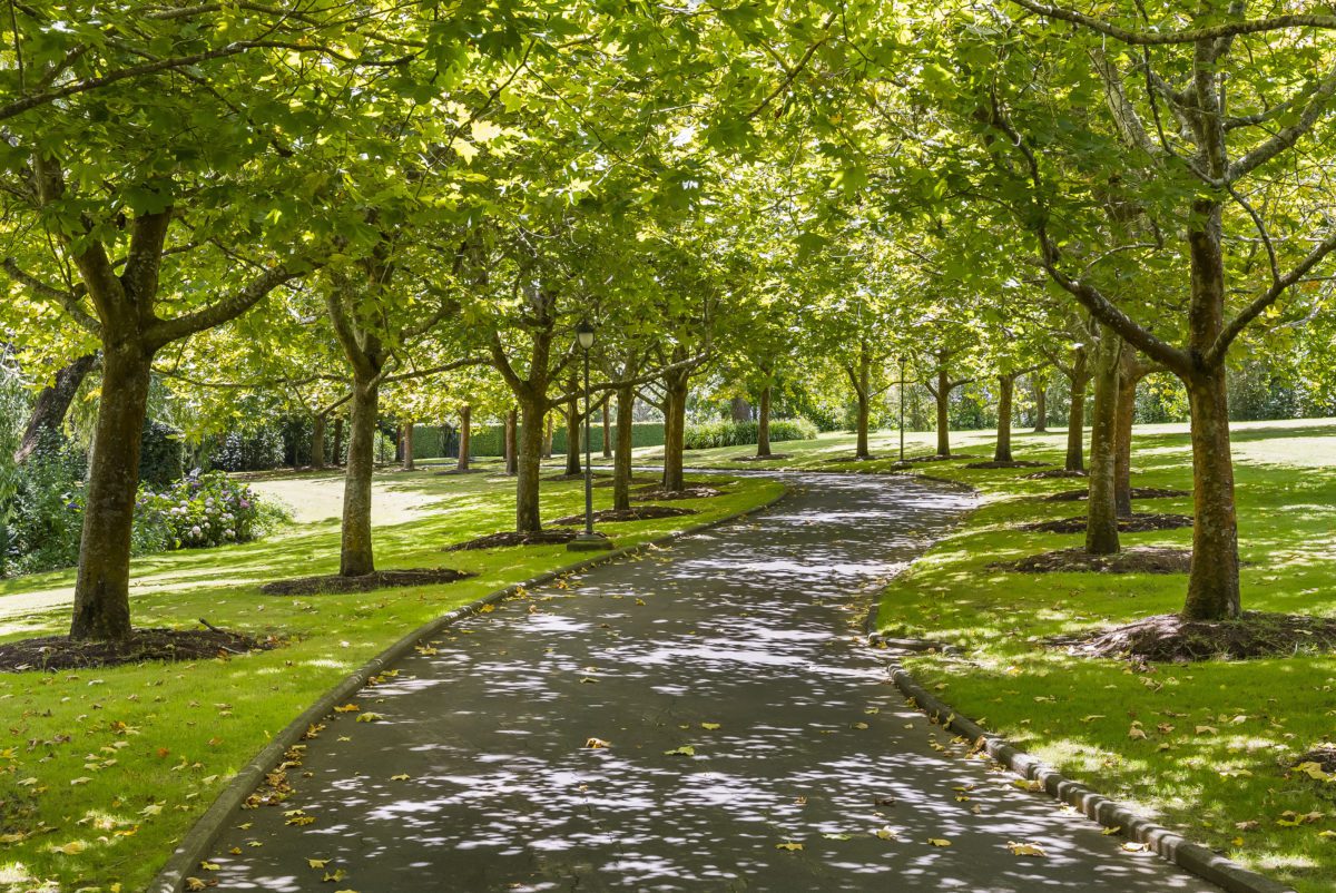 Whitford WALL REAL ESTATE